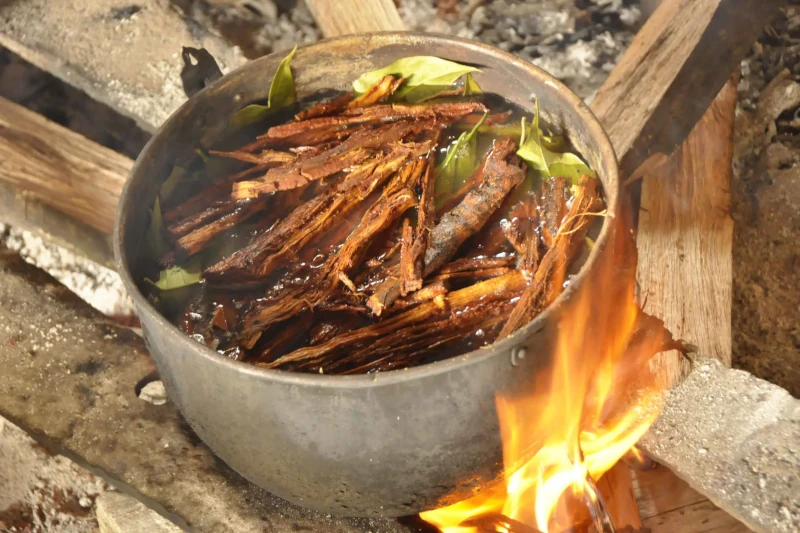 ayahuasca ritual