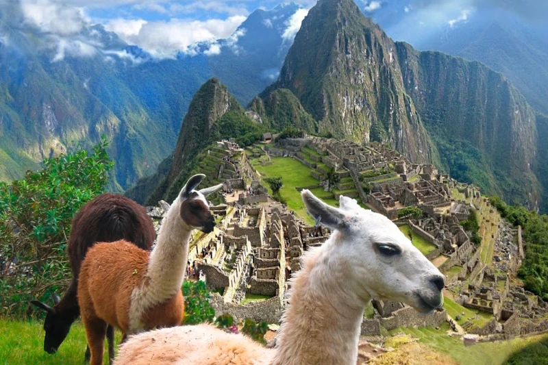 Cusco to Aguas Calientes by train